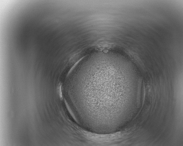 X0000059040042200510211945