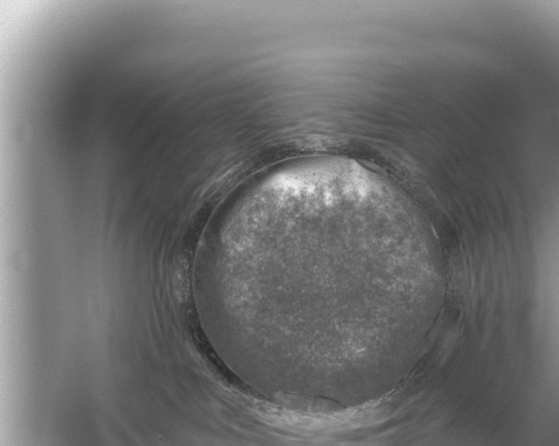 X0000059040043200510211945