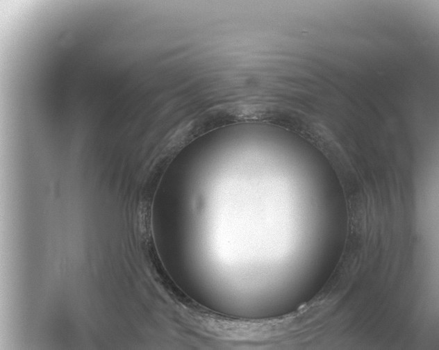 X0000059040044200510211945