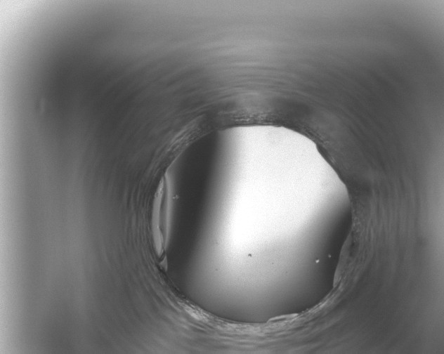 X0000059040045200510211945