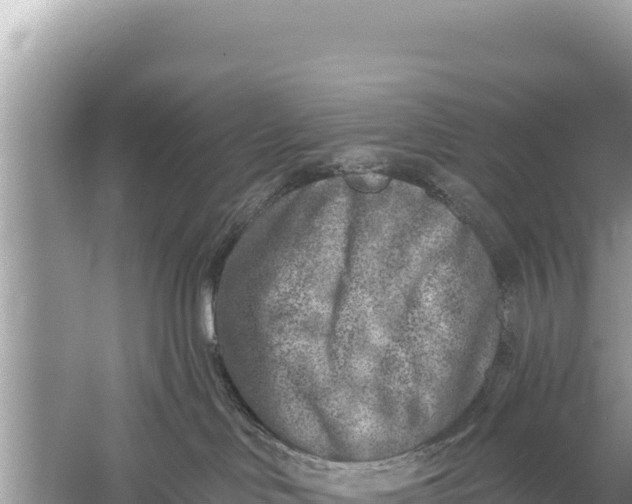 X0000059040046200510211945