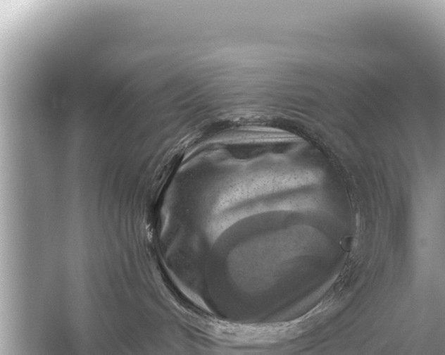 X0000059040048200510211945