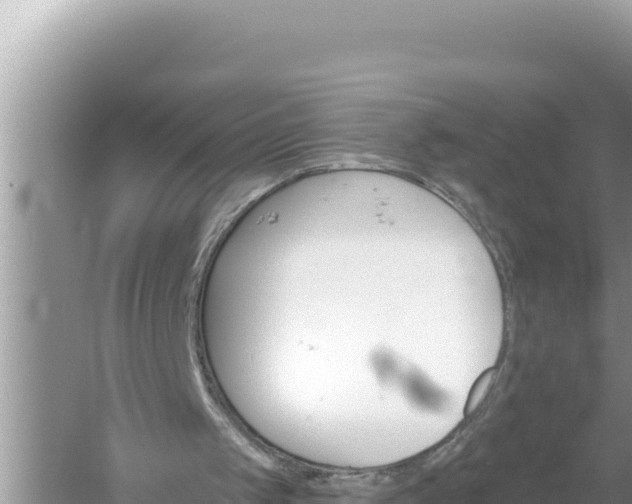 X0000059040049200510211944