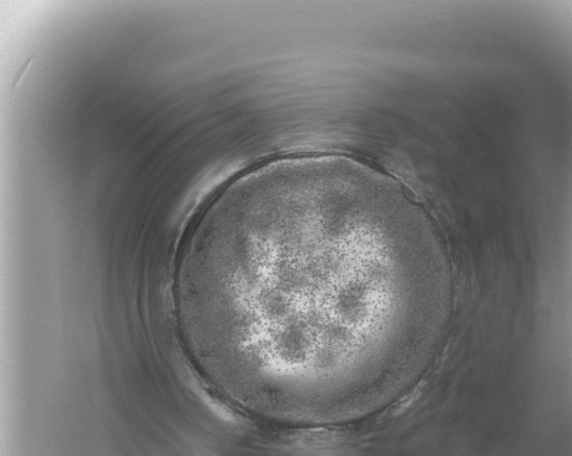 X0000059040050200510211944