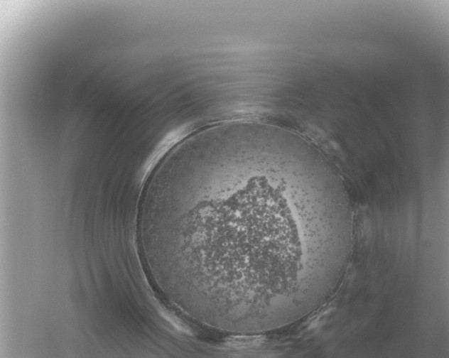 X0000059040051200510211944