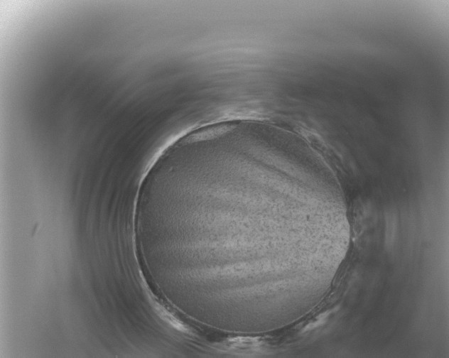 X0000059040052200510211944