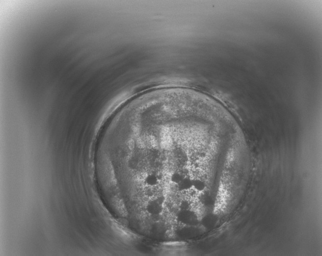 X0000059040053200510211944