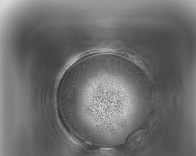 X0000059040055200510211944