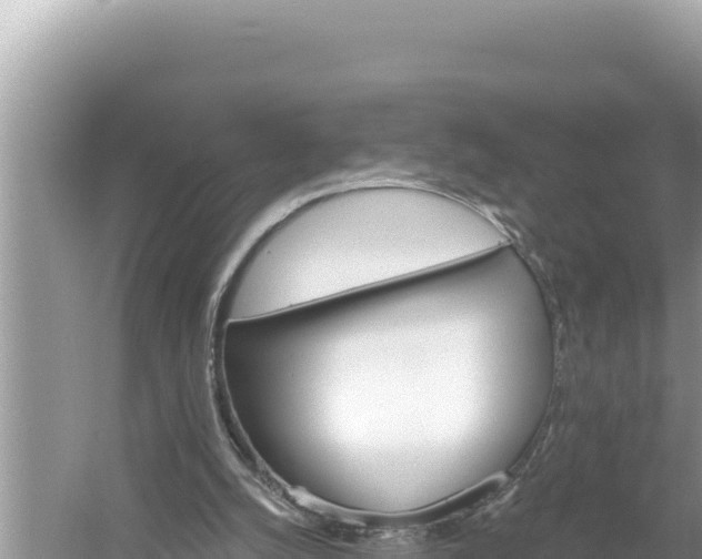 X0000059040056200510211945