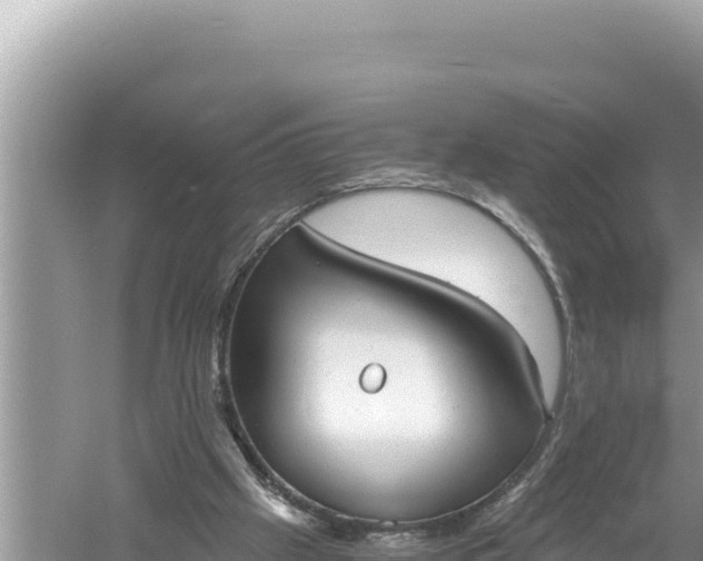 X0000059040057200510211945