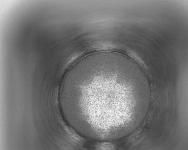 X0000059040058200510211945