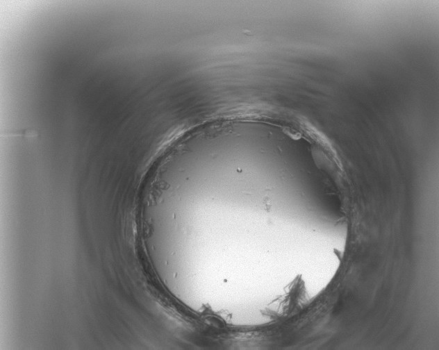 X0000059040059200510211945