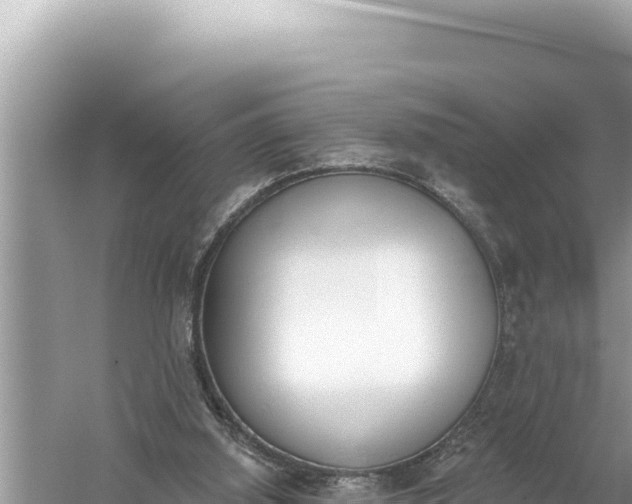 X0000059040060200510211945