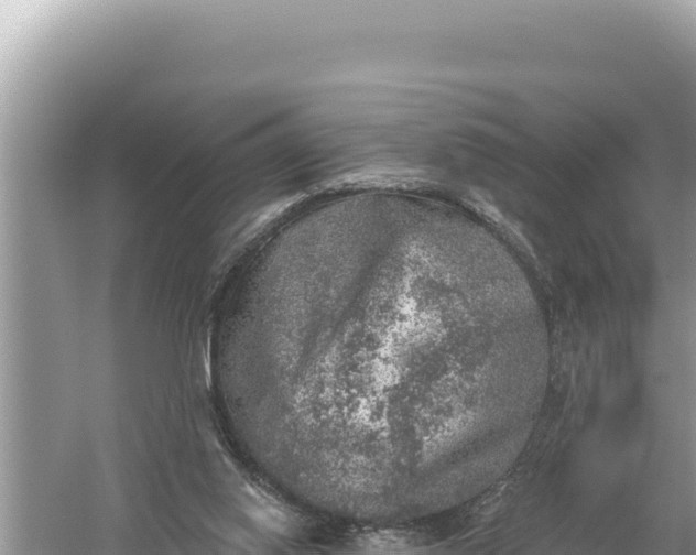 X0000059040062200510211945