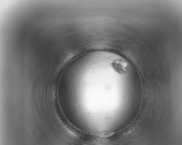 X0000059040063200510211945