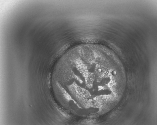 X0000059040065200510211945