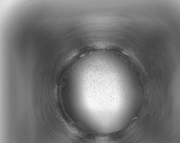 X0000059040066200510211945