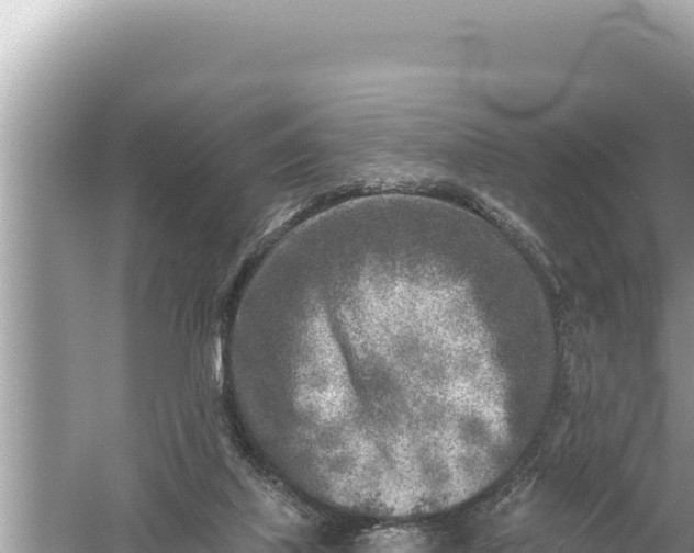 X0000059040067200510211945