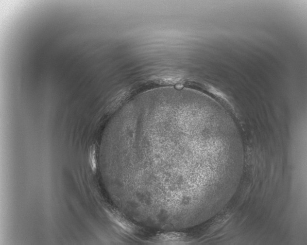 X0000059040069200510211945