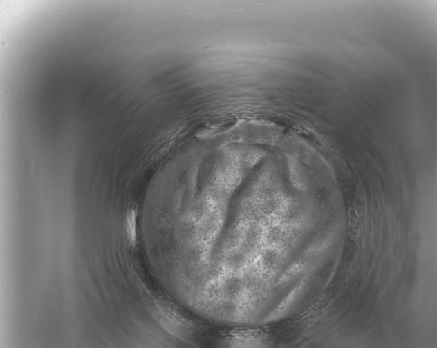 X0000059040070200510211945