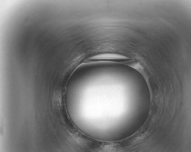 X0000059040072200510211945