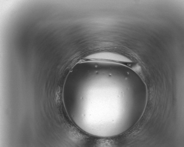 X0000059040073200510211945