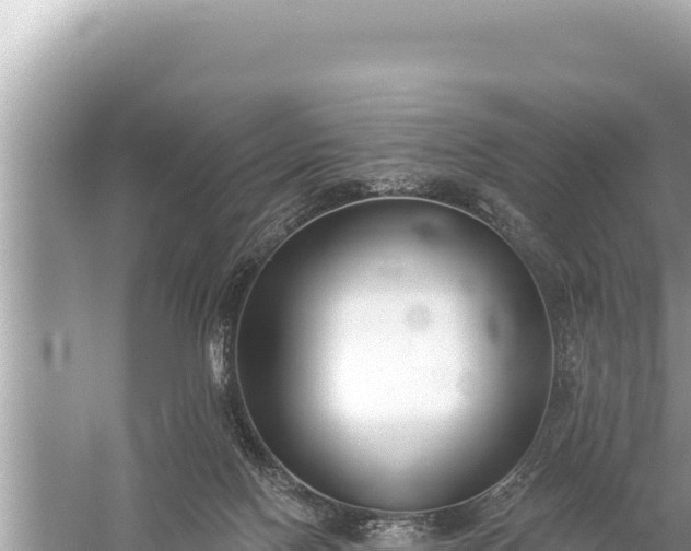 X0000059040074200510211945