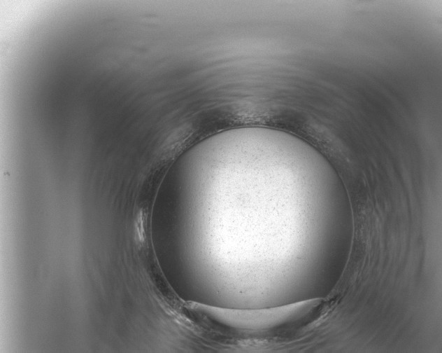 X0000059040075200510211945