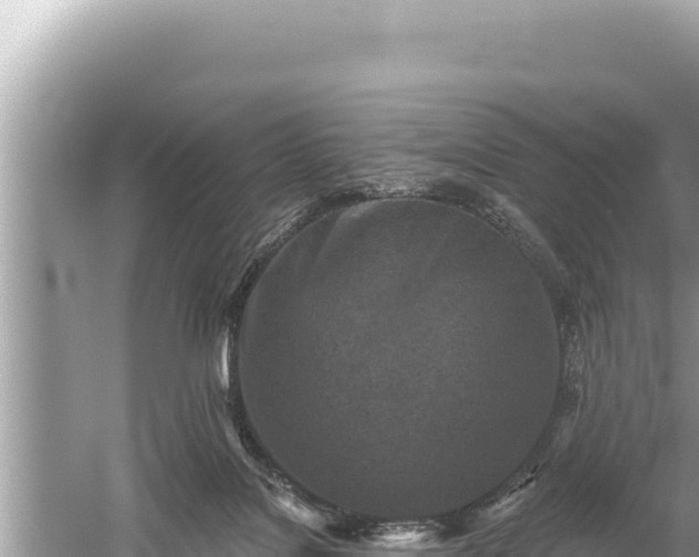 X0000059040076200510211945