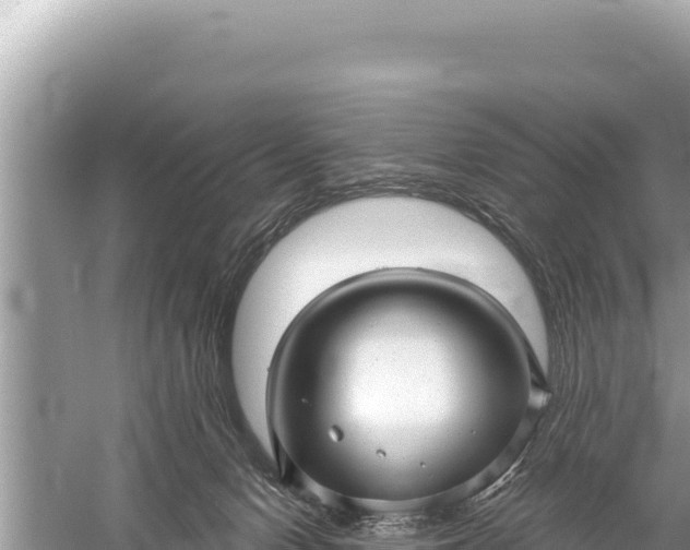 X0000059040078200510211945