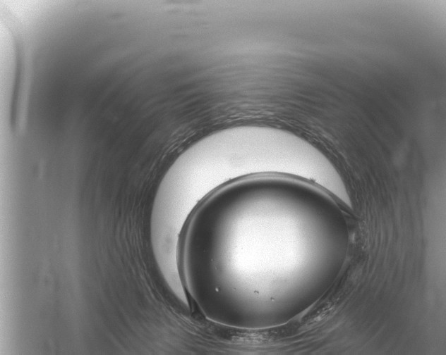 X0000059040079200510211945