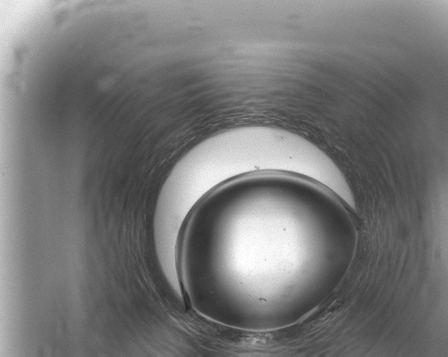 X0000059040080200510211945