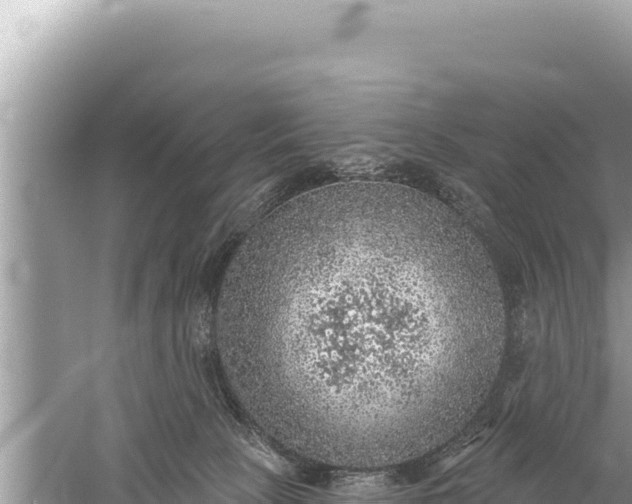 X0000059040081200510211945