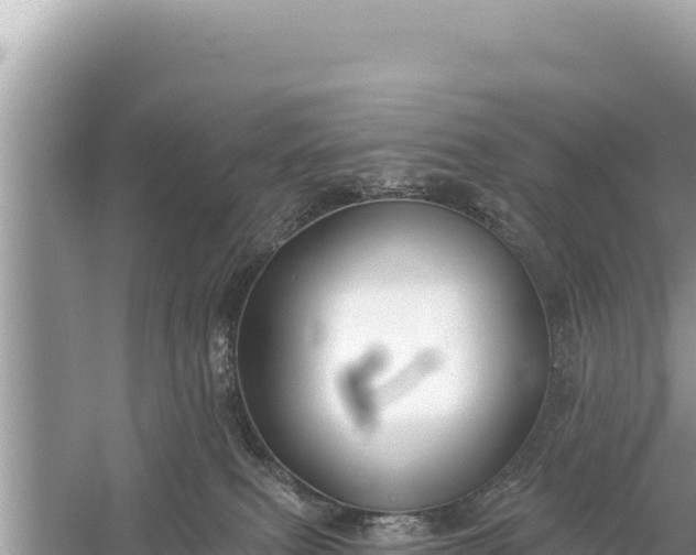 X0000059040087200510211945