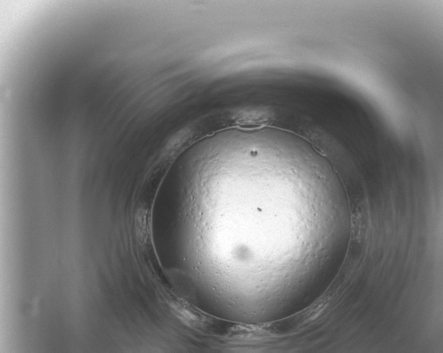 X0000059040093200510211945