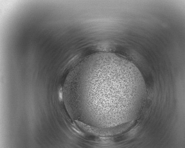 X0000059040095200510211945