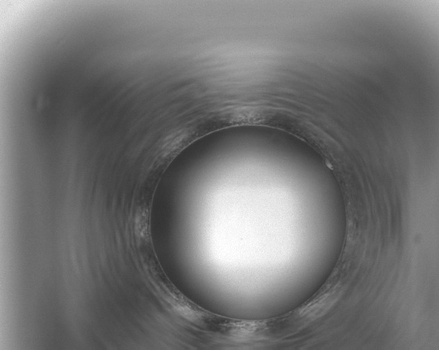 X0000059040096200510211945