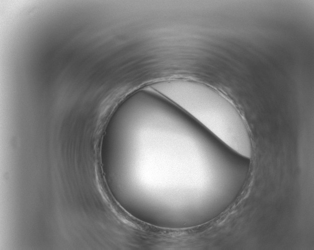 X0000059040097200510211944