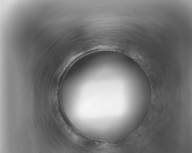 X0000059040098200510211944