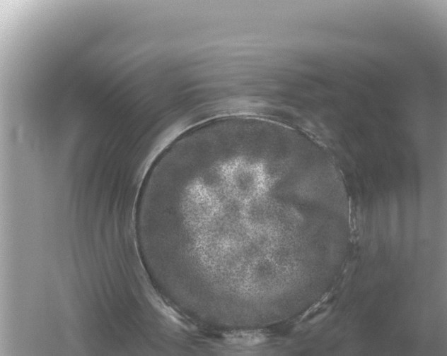 X0000059040099200510211944