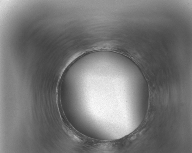 X0000059040100200510211944