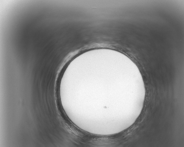 X0000059040104200510211944