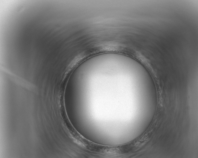 X0000059040106200510211944