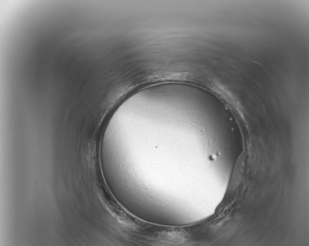 X0000059040107200510211944