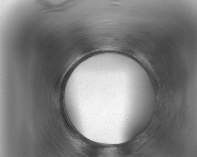 X0000059040108200510211944