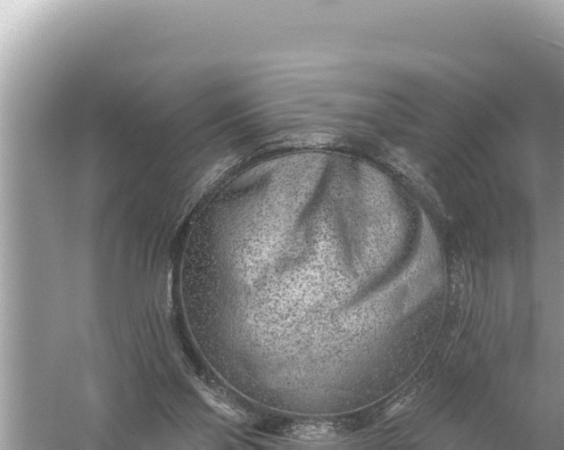 X0000059040110200510211944