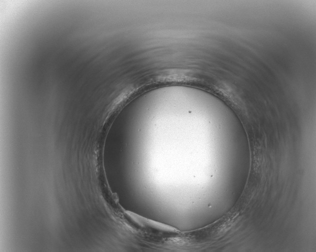 X0000059040111200510211944