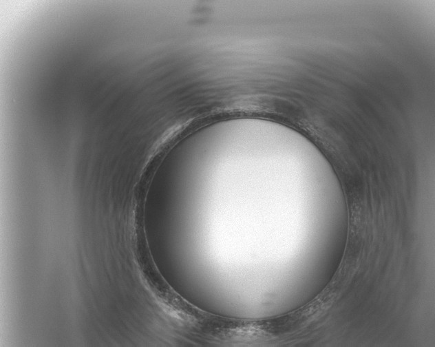 X0000059040112200510211944