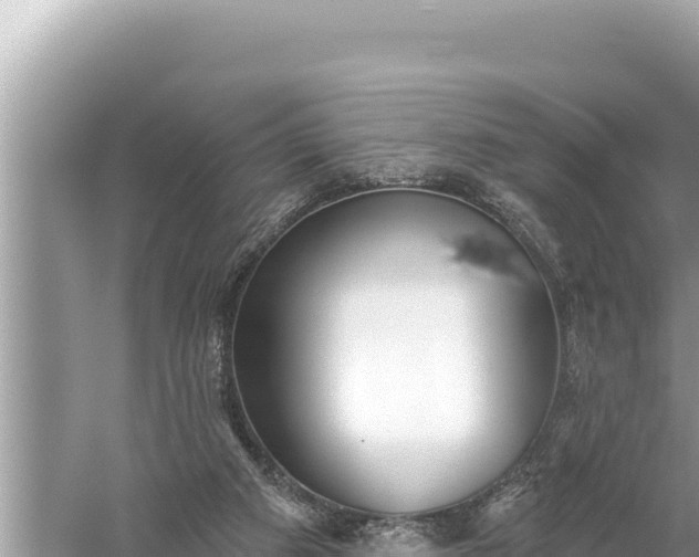 X0000059040113200510211944