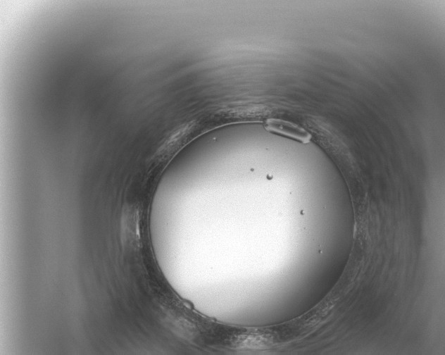 X0000059040115200510211944